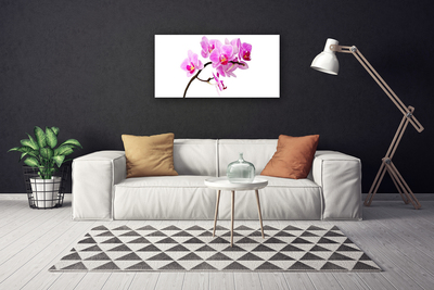 Quadro canvas Flores Planta Natureza