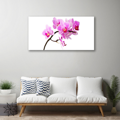 Quadro canvas Flores Planta Natureza