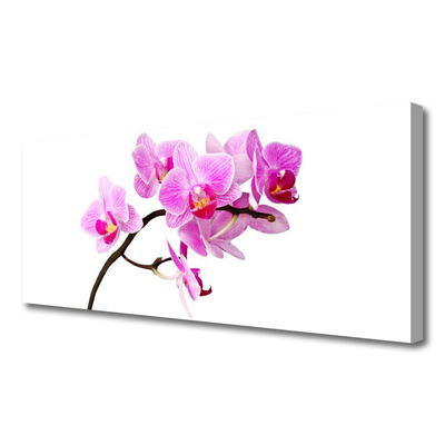 Quadro canvas Flores Planta Natureza