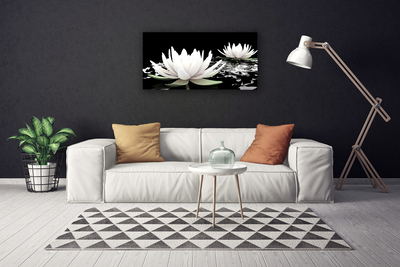 Quadro em tela Flores Planta Natureza