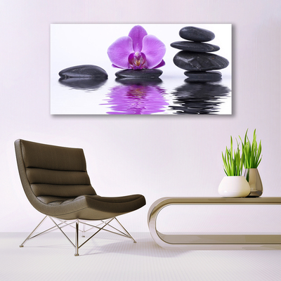 Quadro canvas Espelho de flor reflexo de água