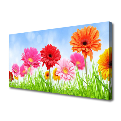 Quadro canvas Flores, grama, planta
