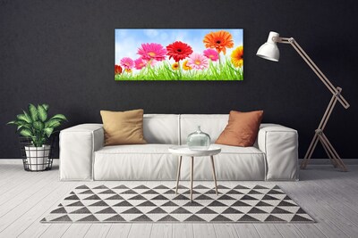 Quadro canvas Flores, grama, planta