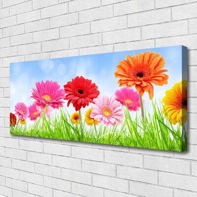 Quadro canvas Flores, grama, planta