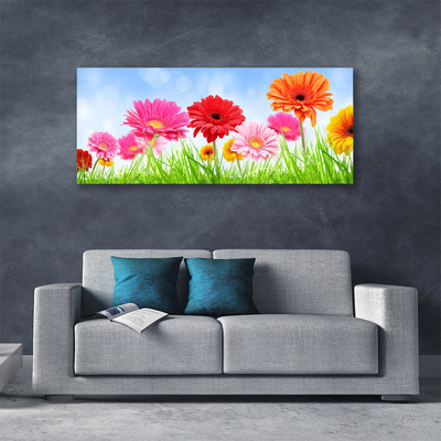 Quadro canvas Flores, grama, planta