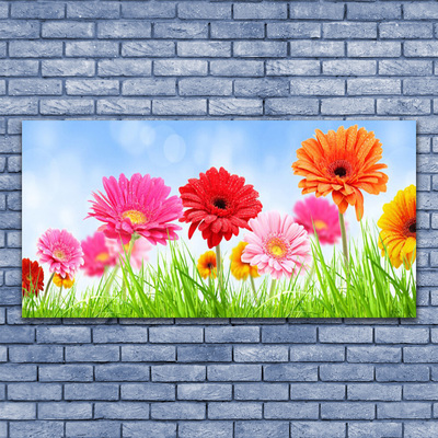 Quadro canvas Flores, grama, planta