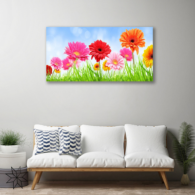 Quadro canvas Flores, grama, planta