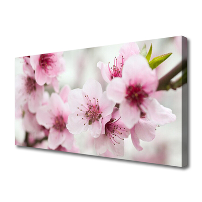 Quadro canvas Flores Planta Natureza
