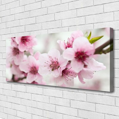 Quadro canvas Flores Planta Natureza
