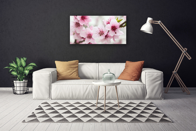 Quadro canvas Flores Planta Natureza