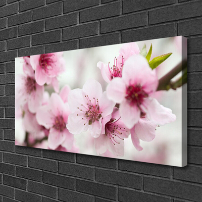 Quadro canvas Flores Planta Natureza