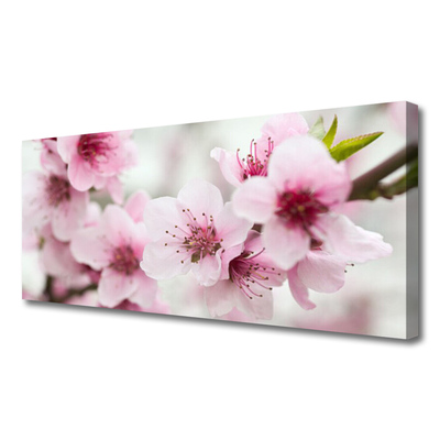 Quadro canvas Flores Planta Natureza