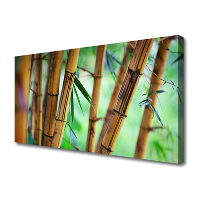 Quadro canvas Planta Natural de Bambu