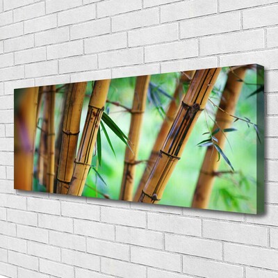 Quadro canvas Planta Natural de Bambu