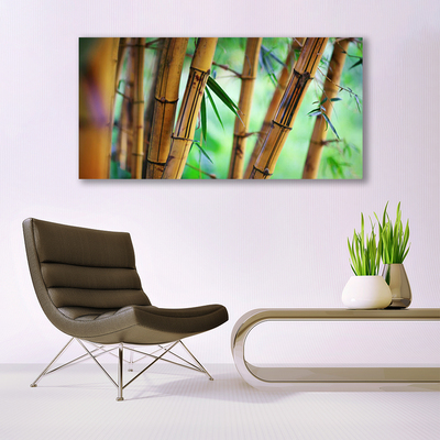 Quadro canvas Planta Natural de Bambu