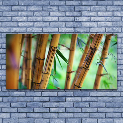 Quadro canvas Planta Natural de Bambu
