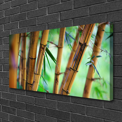 Quadro canvas Planta Natural de Bambu