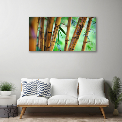 Quadro canvas Planta Natural de Bambu