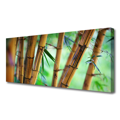 Quadro canvas Planta Natural de Bambu
