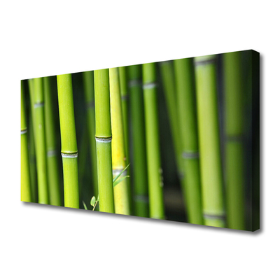 Quadro canvas Planta Natural de Bambu