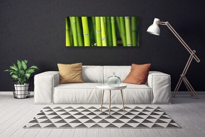 Quadro canvas Planta Natural de Bambu