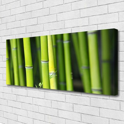 Quadro canvas Planta Natural de Bambu
