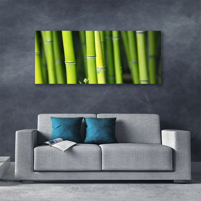 Quadro canvas Planta Natural de Bambu