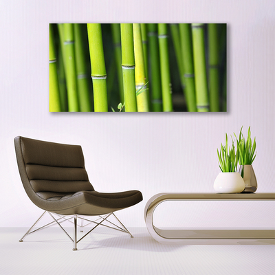 Quadro canvas Planta Natural de Bambu