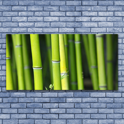 Quadro canvas Planta Natural de Bambu