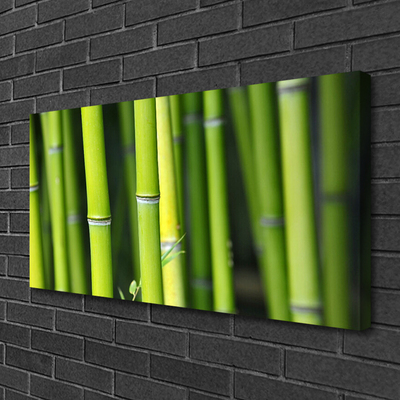 Quadro canvas Planta Natural de Bambu