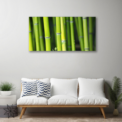 Quadro canvas Planta Natural de Bambu