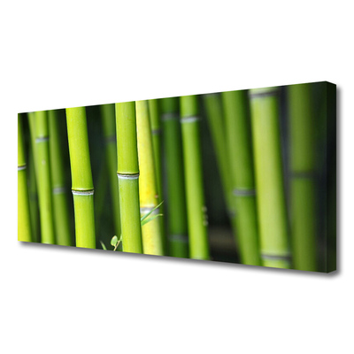 Quadro canvas Planta Natural de Bambu