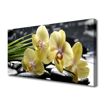Quadro em tela Flores Planta Natureza
