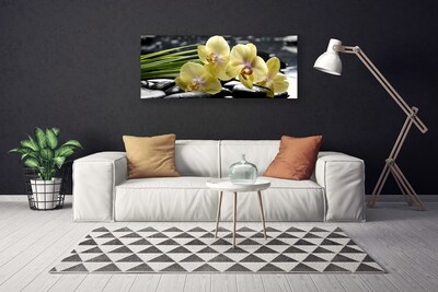 Quadro em tela Flores Planta Natureza