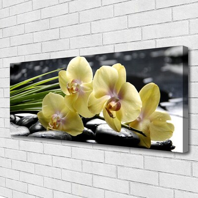 Quadro em tela Flores Planta Natureza