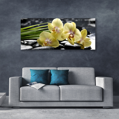 Quadro em tela Flores Planta Natureza