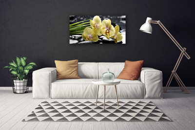 Quadro em tela Flores Planta Natureza