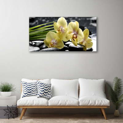 Quadro em tela Flores Planta Natureza