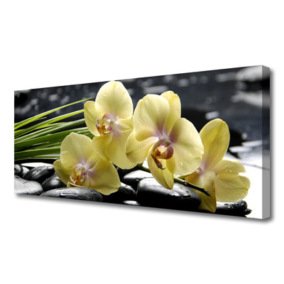 Quadro em tela Flores Planta Natureza