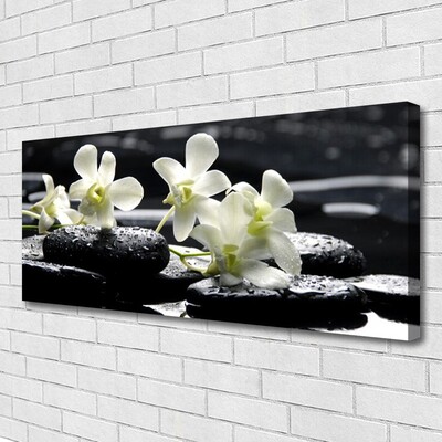 Quadro canvas Planta de Pedras de Orquídea