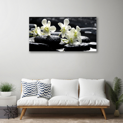 Quadro canvas Planta de Pedras de Orquídea