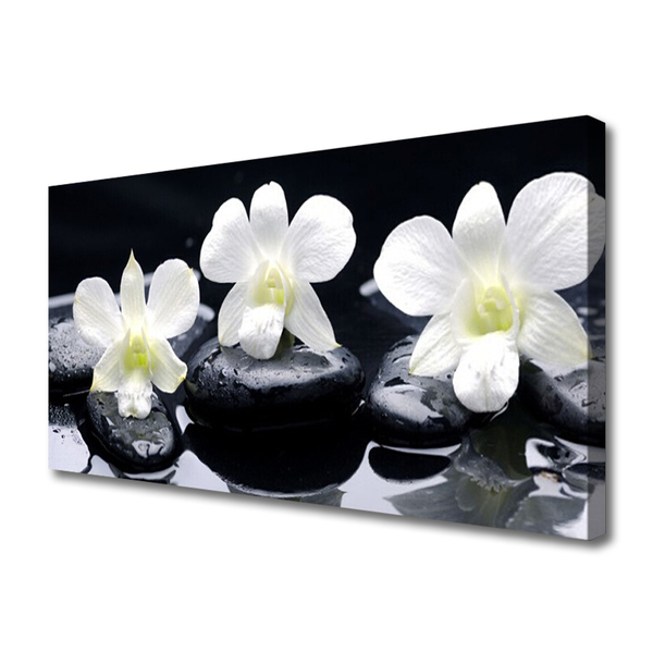 Quadro canvas Planta de Pedras de Orquídea