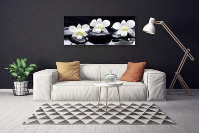 Quadro canvas Planta de Pedras de Orquídea