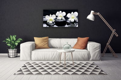 Quadro canvas Planta de Pedras de Orquídea