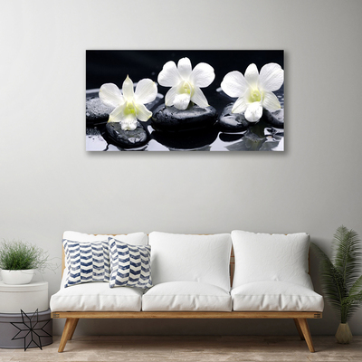 Quadro canvas Planta de Pedras de Orquídea