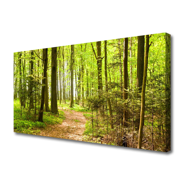 Quadro canvas Trilha da Natureza da Floresta