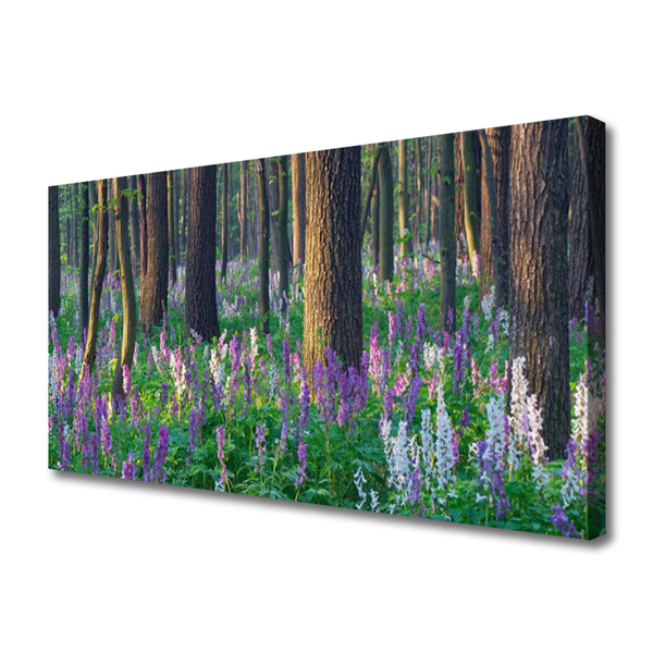 Quadro canvas Árvores da Floresta Natureza