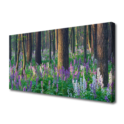 Quadro canvas Árvores da Floresta Natureza