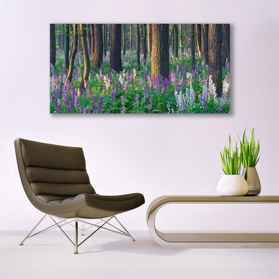 Quadro canvas Árvores da Floresta Natureza