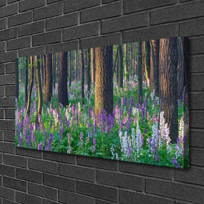 Quadro canvas Árvores da Floresta Natureza